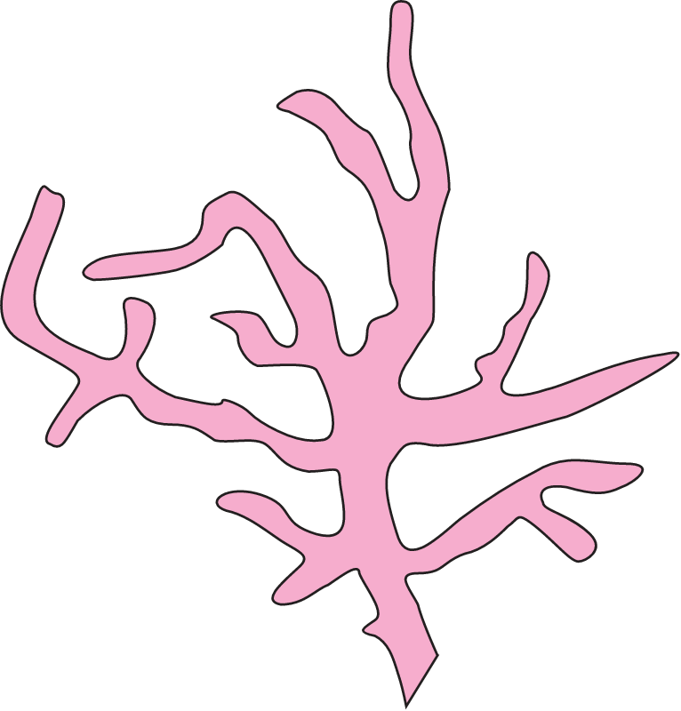 Catanella