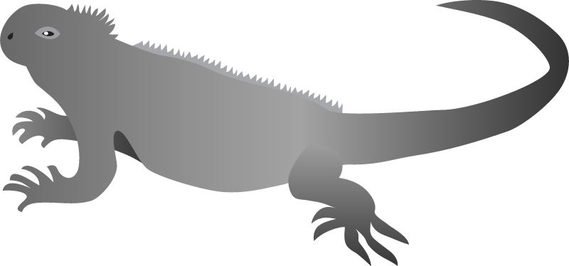 Iguana