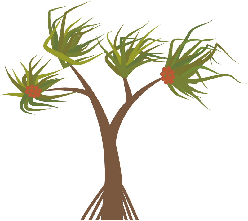 Pandanus