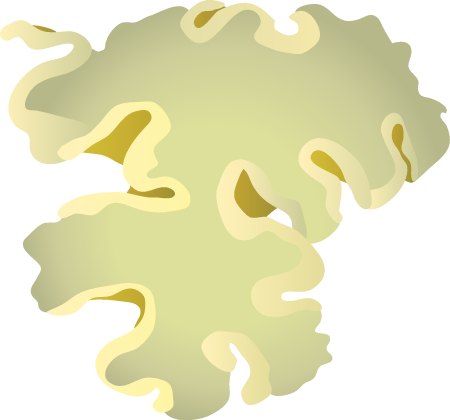 Sarcophyton
