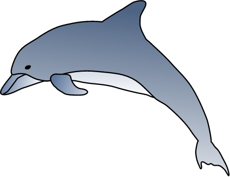 Bottlenose Dolphin (Tursiops)