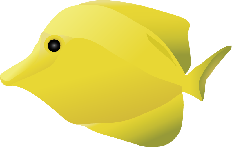 Yellow Tang (Zebrasoma Flavescens)