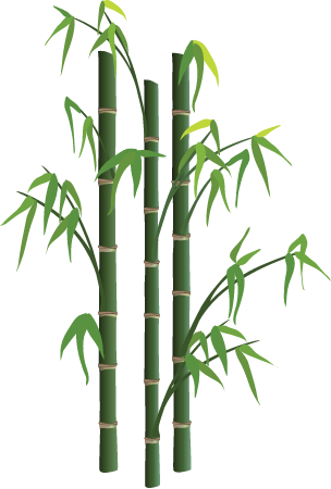 Bamboo