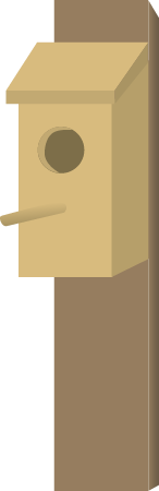 Bird Box