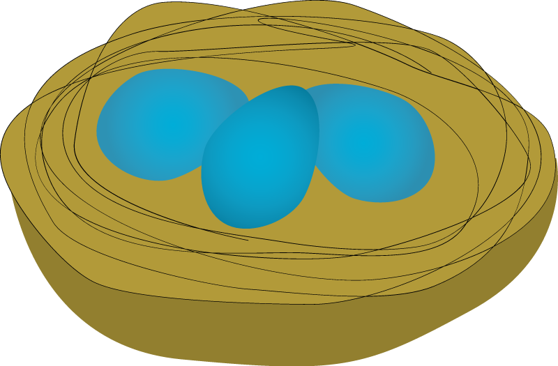 Bird Nest with Eggs
