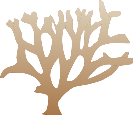 Branching Coral
