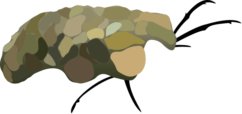 Caddisfly Larva In Case