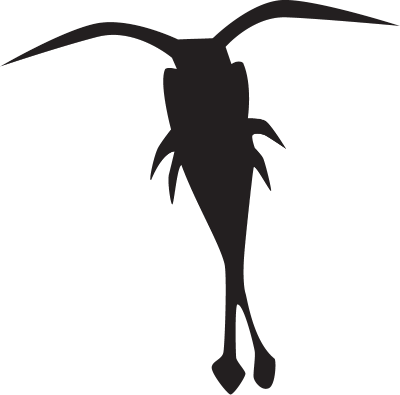 Copepod