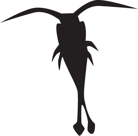 Copepod