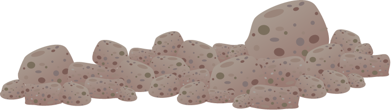 Coralline Algae