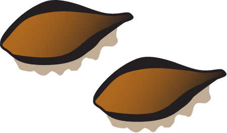 Cymodocea Rotundata Seeds