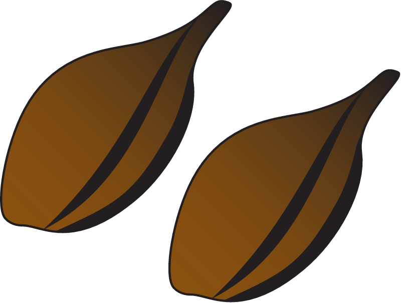 Cymodocea Serrulata Seeds