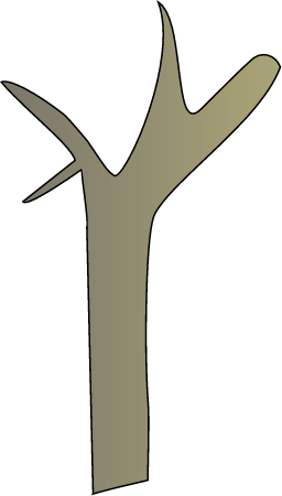 Dead Avicennia