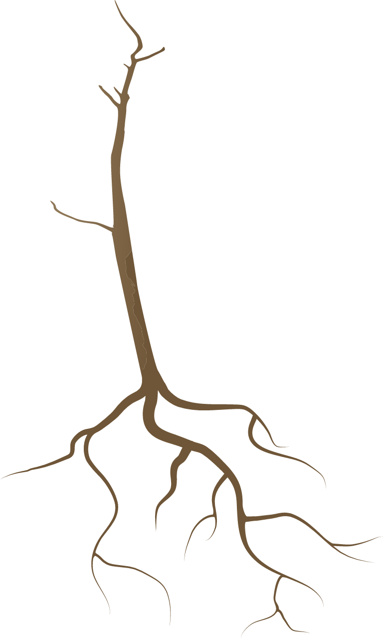 Dead Tree