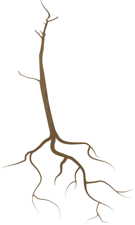 Dead Tree