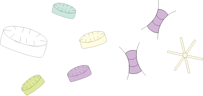 Diatoms