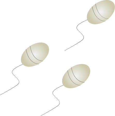 Flagellates