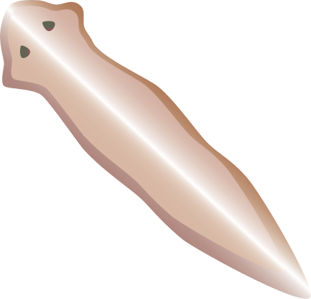 Flatworm