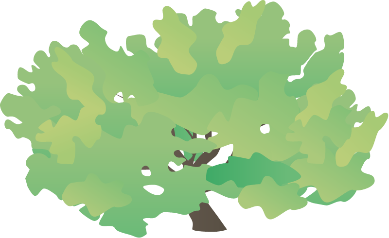 Generic Shrub Temperate