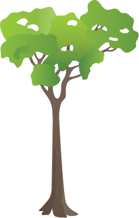 Generic Tree Rainforest