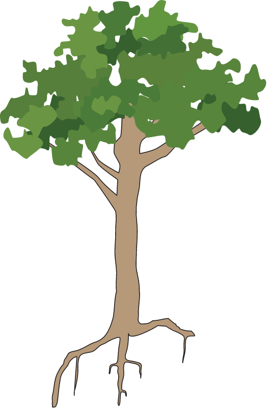 Generic Tree Rainforest