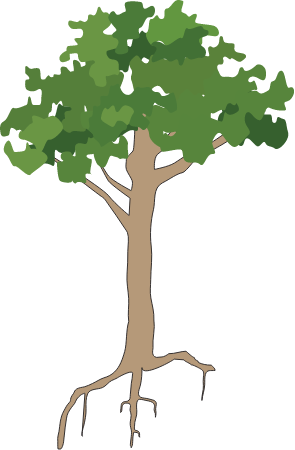 Generic Tree Rainforest