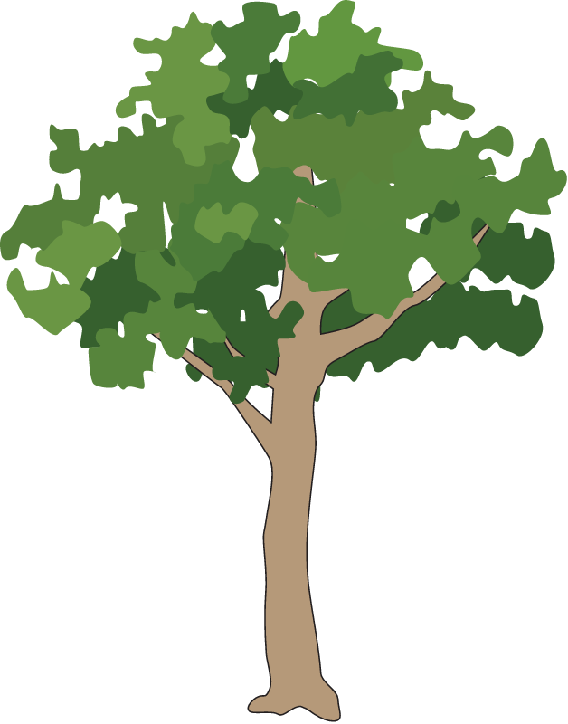 Generic Tree Rainforest