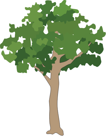 Generic Tree Rainforest