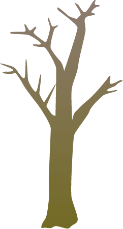 Generic Tree Winter