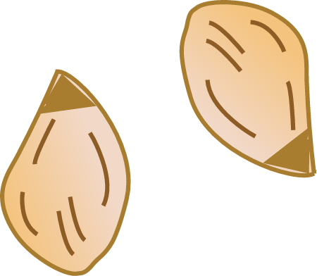 Halophila Seed Bank