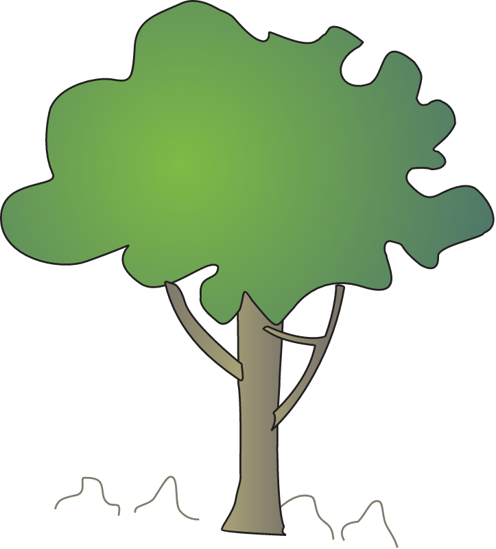 Lumnitzera Racemosa