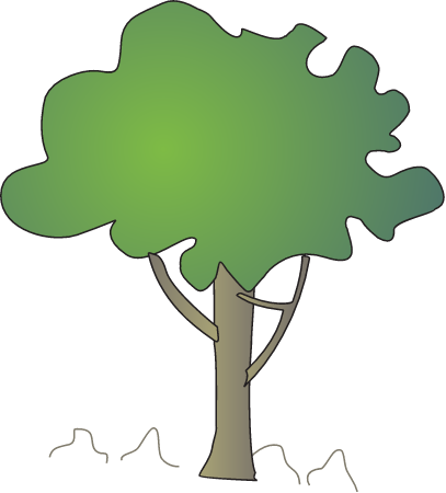 Lumnitzera Racemosa