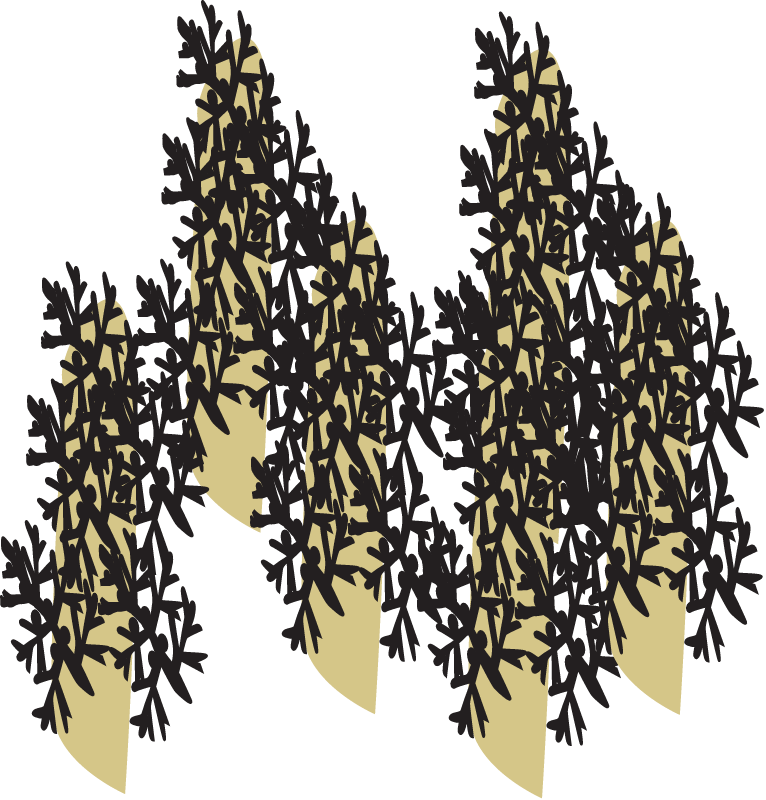 Mangrove Nutrient Excess Effects