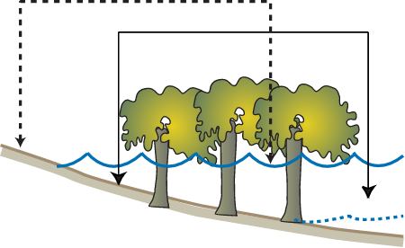 Mangrove Zonal Shift Effects