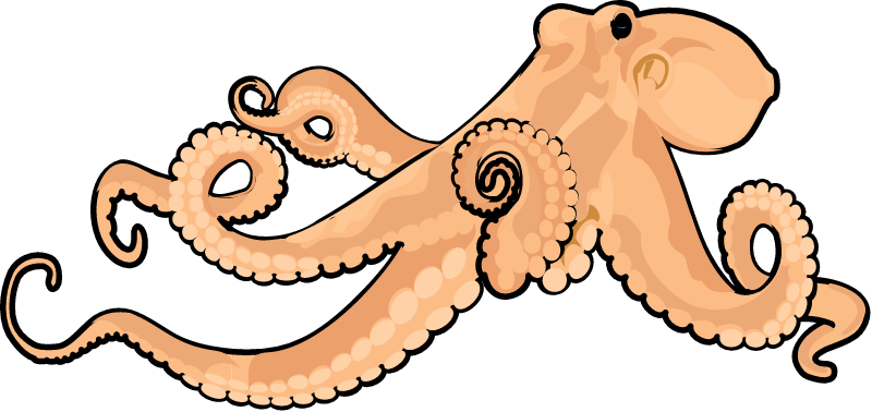 Octopus