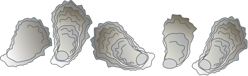 Oyster 2D Reef