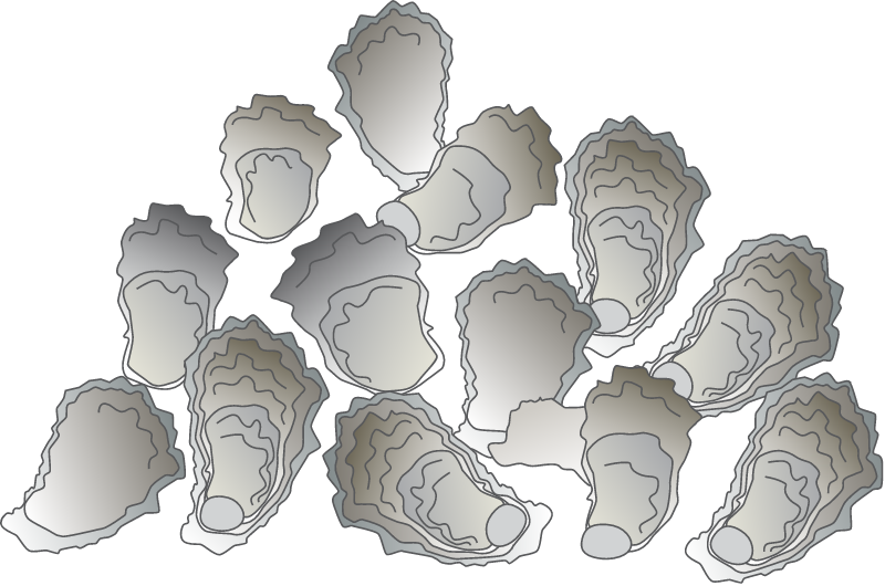 Oyster 3D Reef
