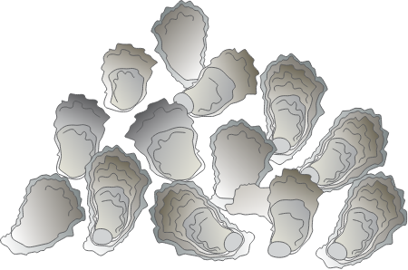 Oyster 3D Reef