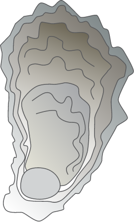 Oyster Dead Shell