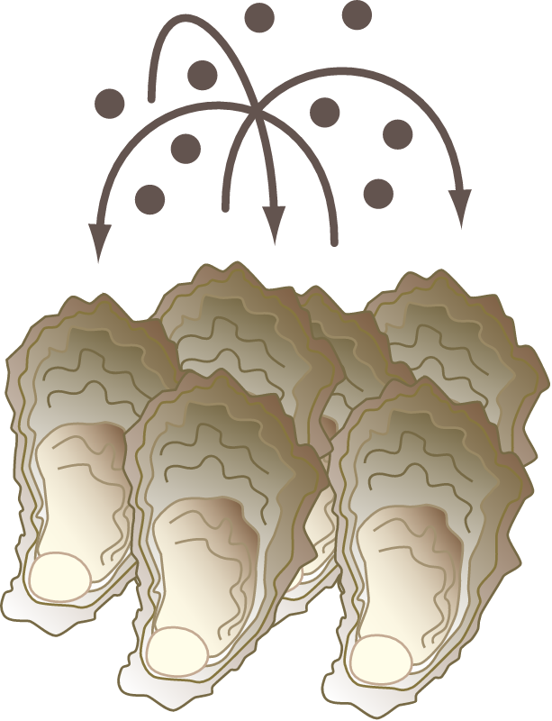 Oyster Disease Transmission