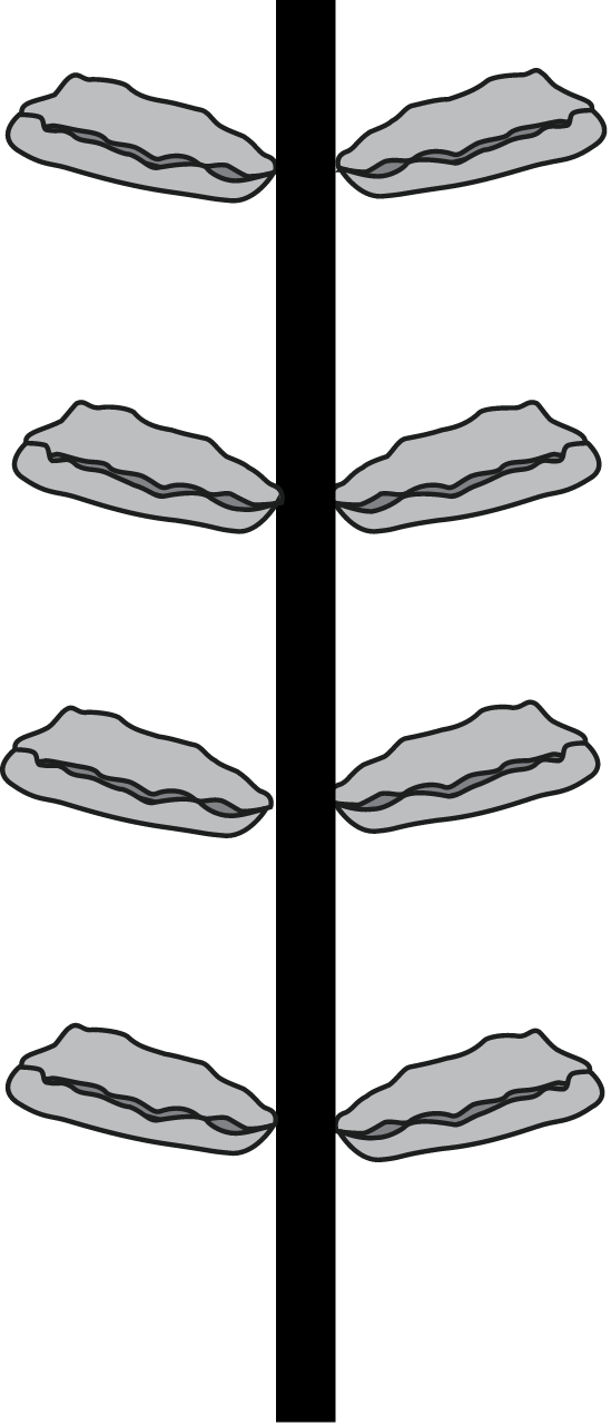 Oyster Rack