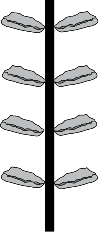 Oyster Rack