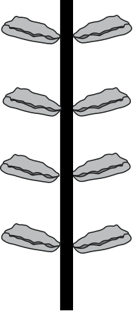 Oyster Rack