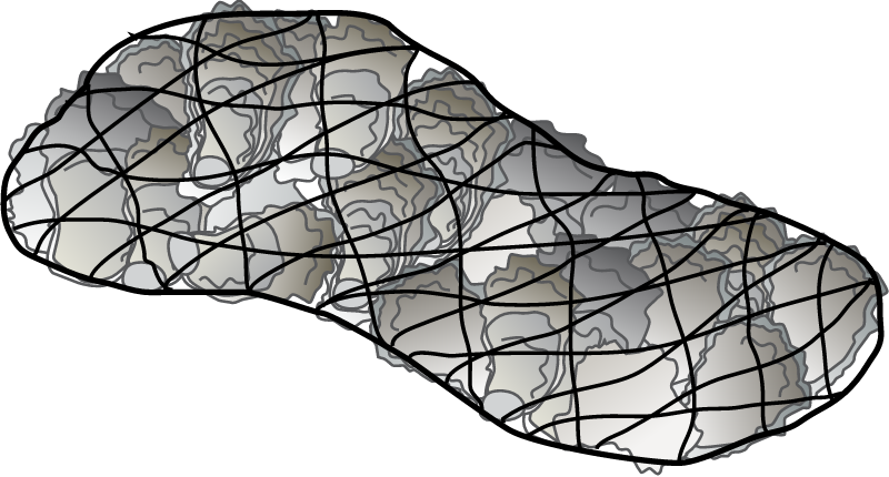 Oyster Shell Bag