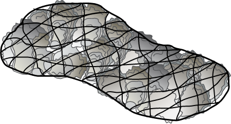 Oyster Shell Bag