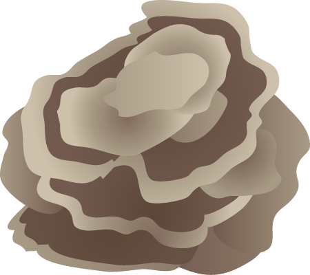 Plate Coral
