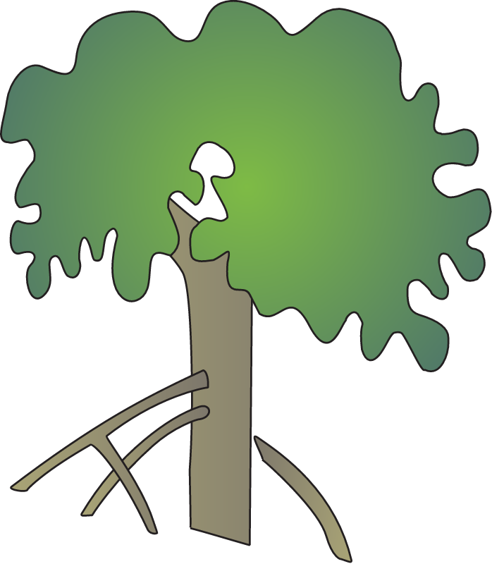 Rhizophora Stylosa