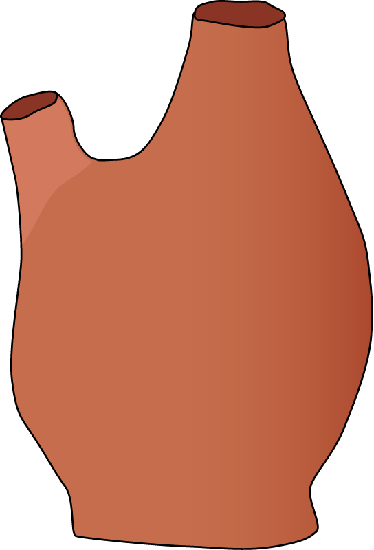 Sea Squirt
