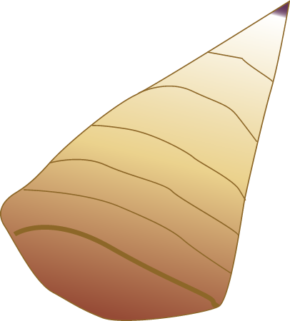 Seagrass Grazer