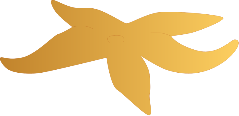 Seastar